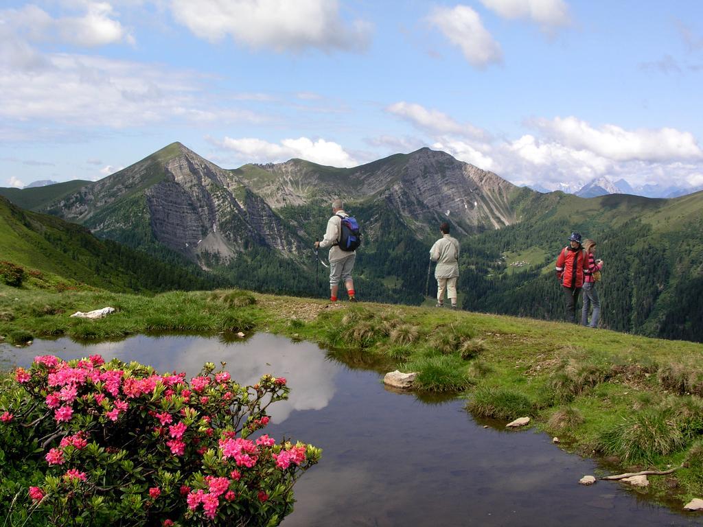 Ferienhaeuser Familie Hofer Stockenboi Weissensee المظهر الخارجي الصورة